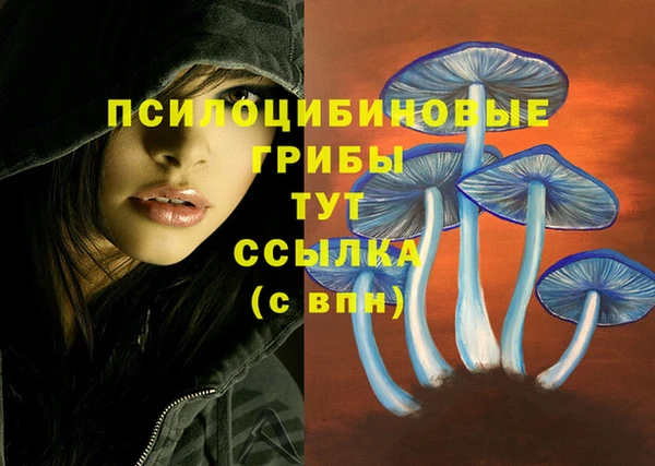 синтетический гашиш Алексин