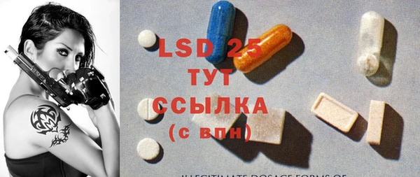 мяу мяу мука Алзамай